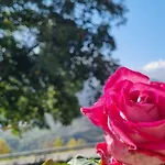 Lo Noyer Et Les Roses Panzió Saint Nicolas