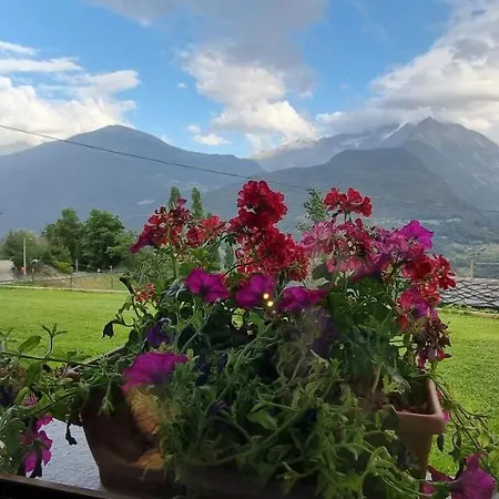 Lo Noyer Et Les Roses 3*