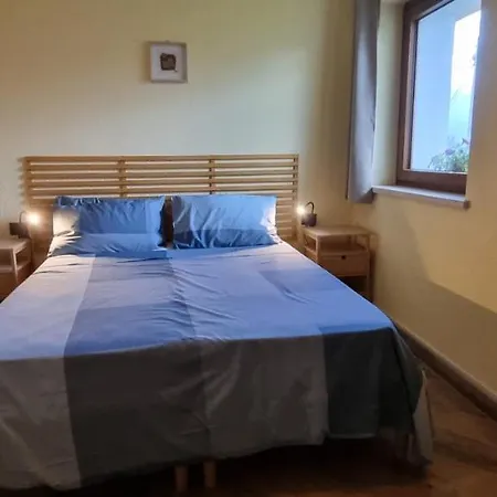 Lo Noyer Et Les Roses