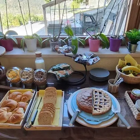 Lo Noyer Et Les Roses 住宿加早餐酒店