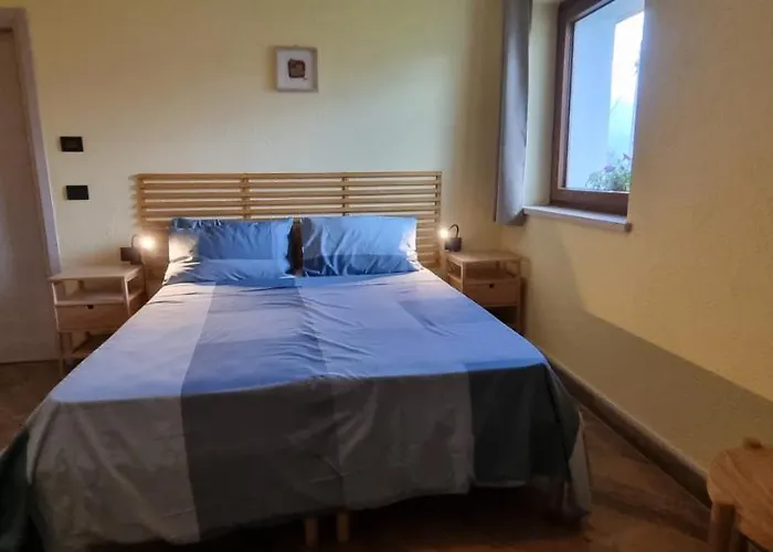 Lo Noyer Et Les Roses