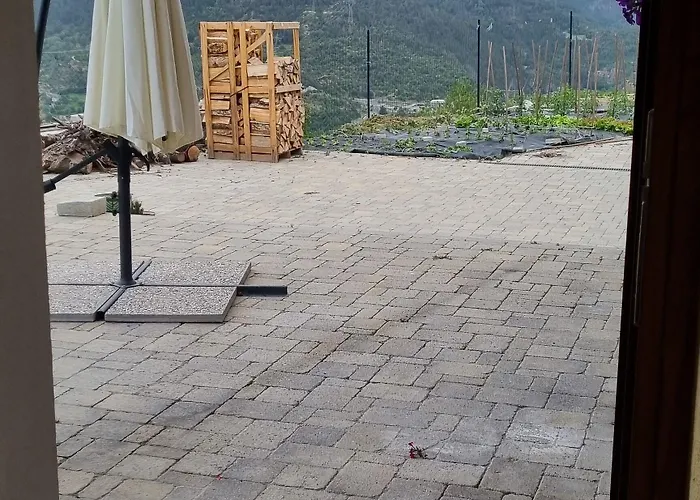 Lo Noyer Et Les Roses