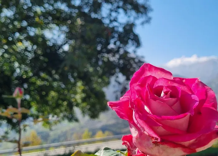 Lo Noyer Et Les Roses Bed & Breakfast Saint Nicolas